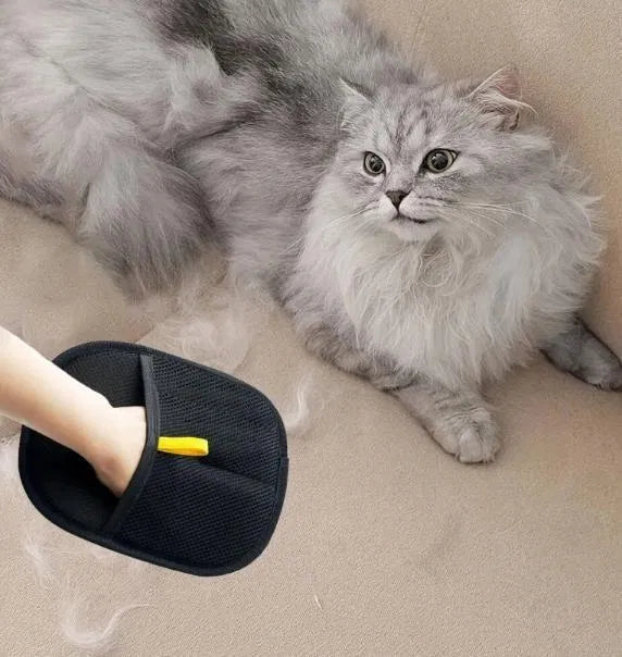 Pet Hair Removal Gloves — Grooming That Feels Like Petting